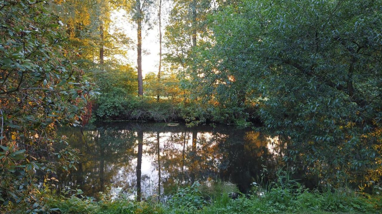 Apartmán Fewo Lueneburger Heide - Aurelia Bad Bevensen Exteriér fotografie